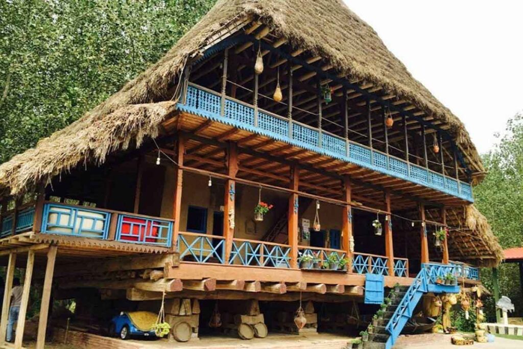 ال اس اف در رشت